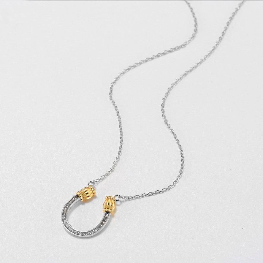 Feeling Lucky Silver Horseshoe Necklace with Crystals