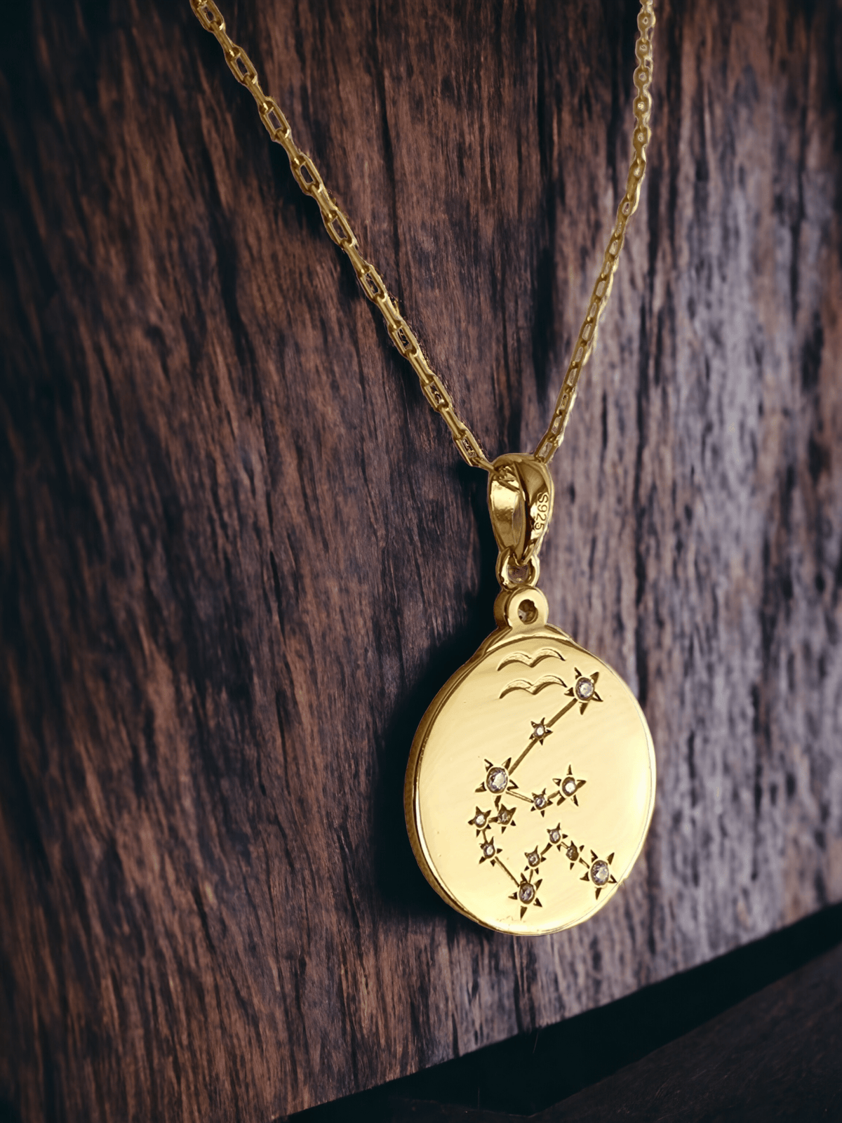 Gold Zodiac Aquarius Constellation Necklace