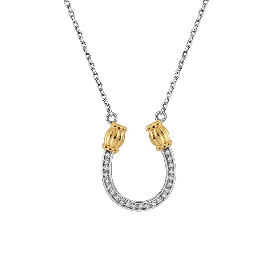 Feeling Lucky Reversible Silver Horseshoe Necklace with Crystals