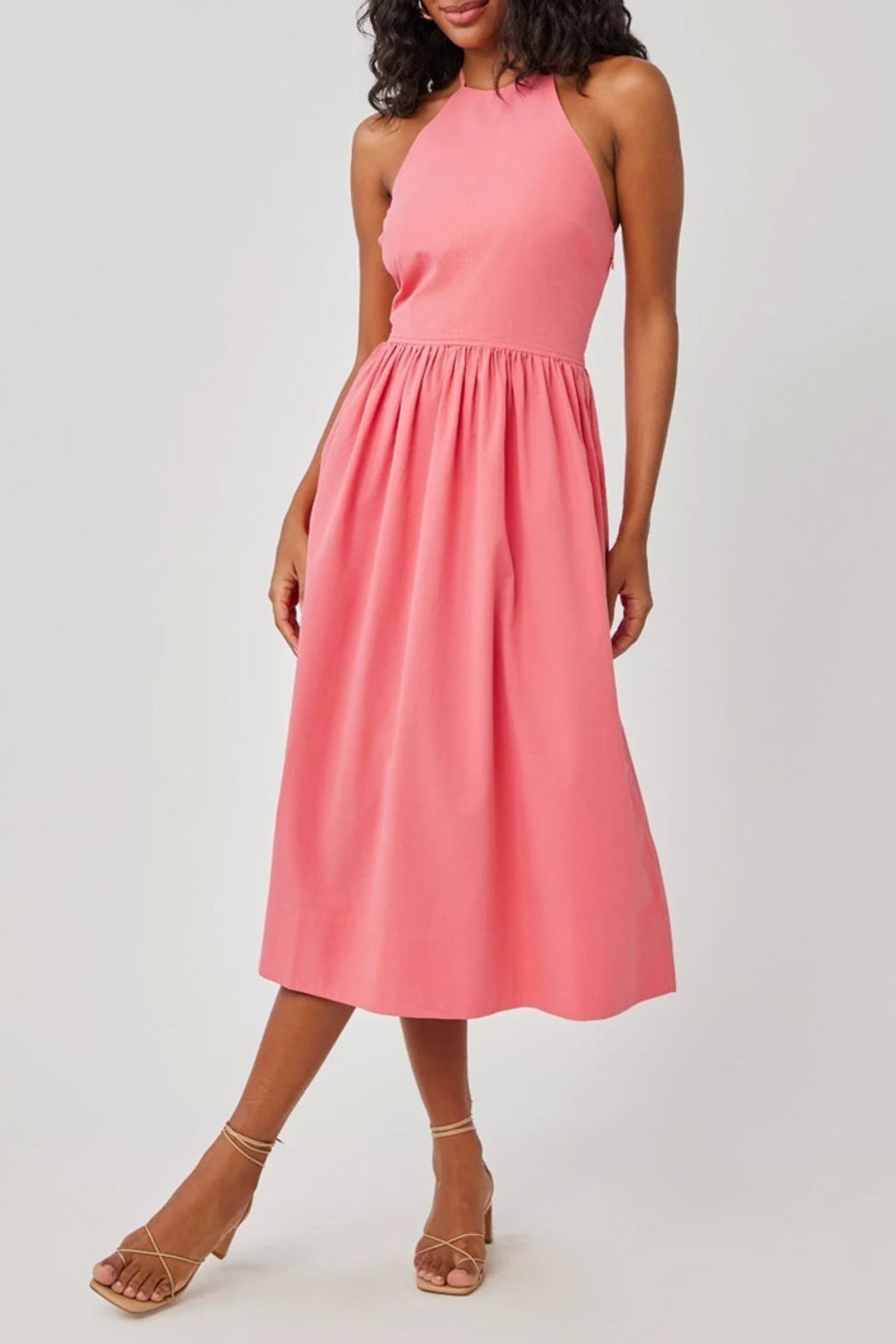 Hibiscus Pink Main