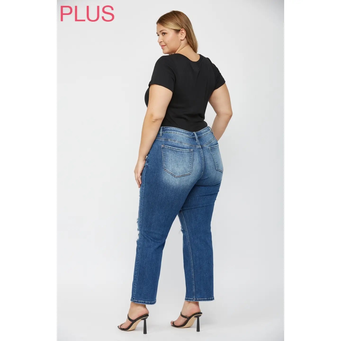 Mica Denim Mid Rise Straight Leg Distressed Jeans