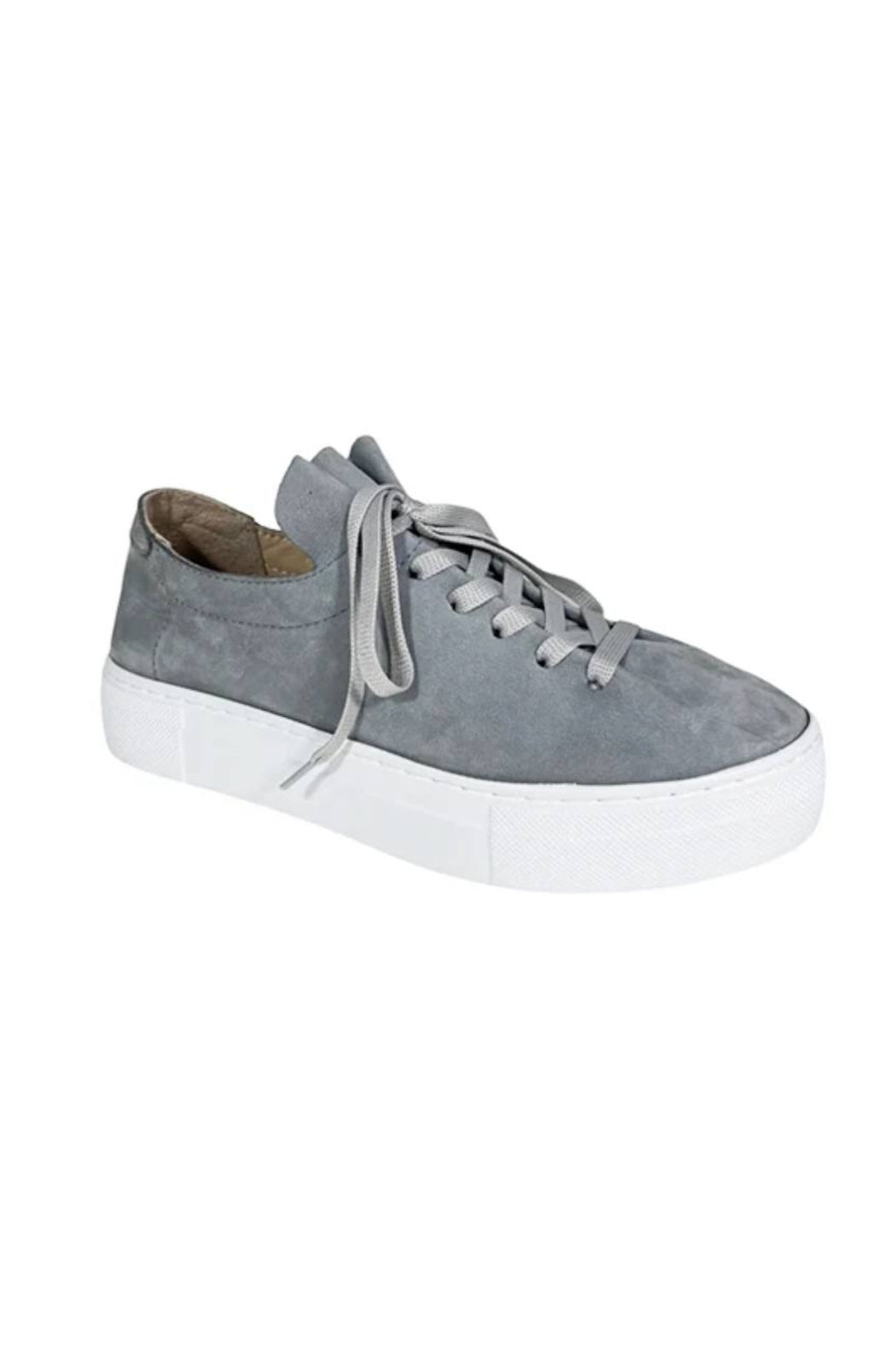 Grey/Blue