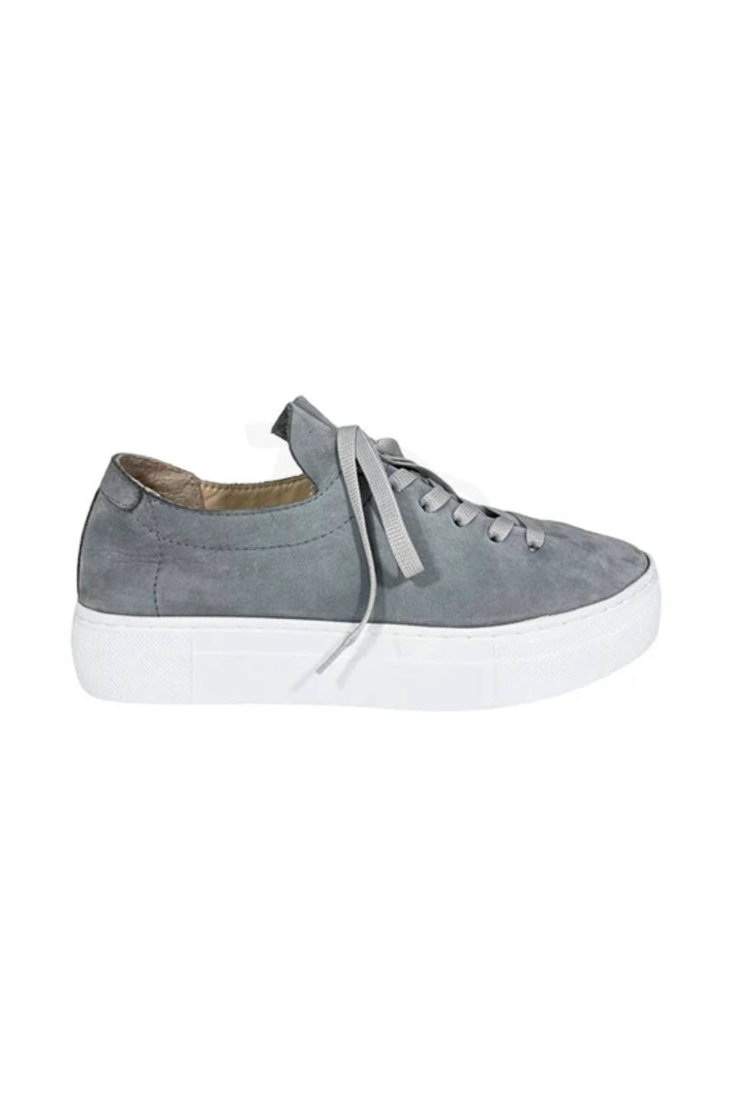 Grey/Blue Main