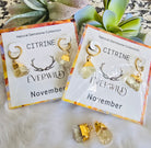 Citrine November Birthstone earrings with 'Everwild' packaging on a white surface with succulents in the background.