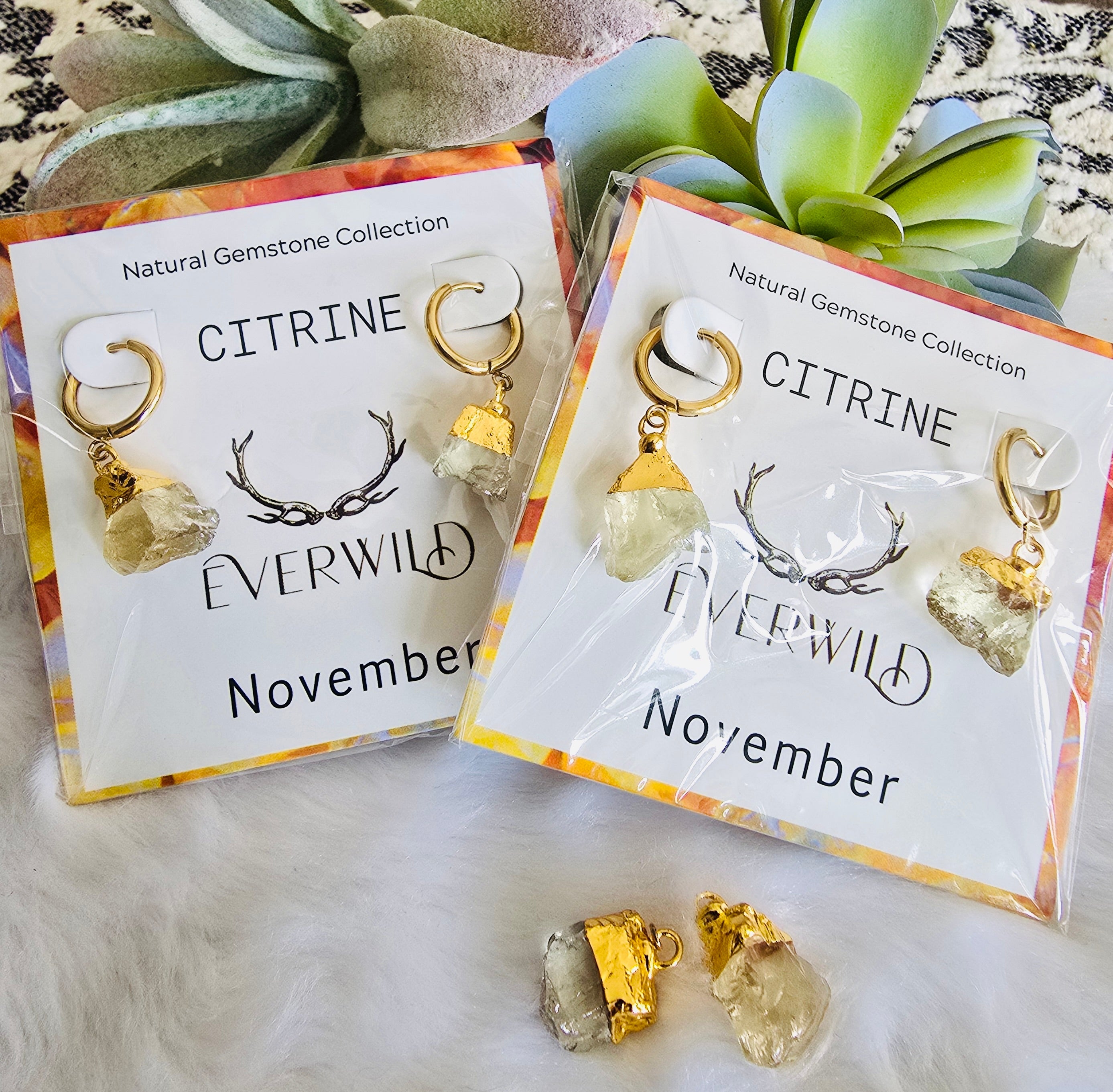Citrine November Birthstone earrings with 'Everwild' packaging on a white surface with succulents in the background.