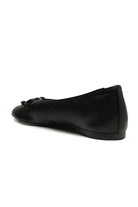 Black-0553