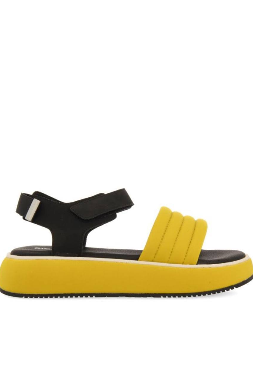 MUSTARD