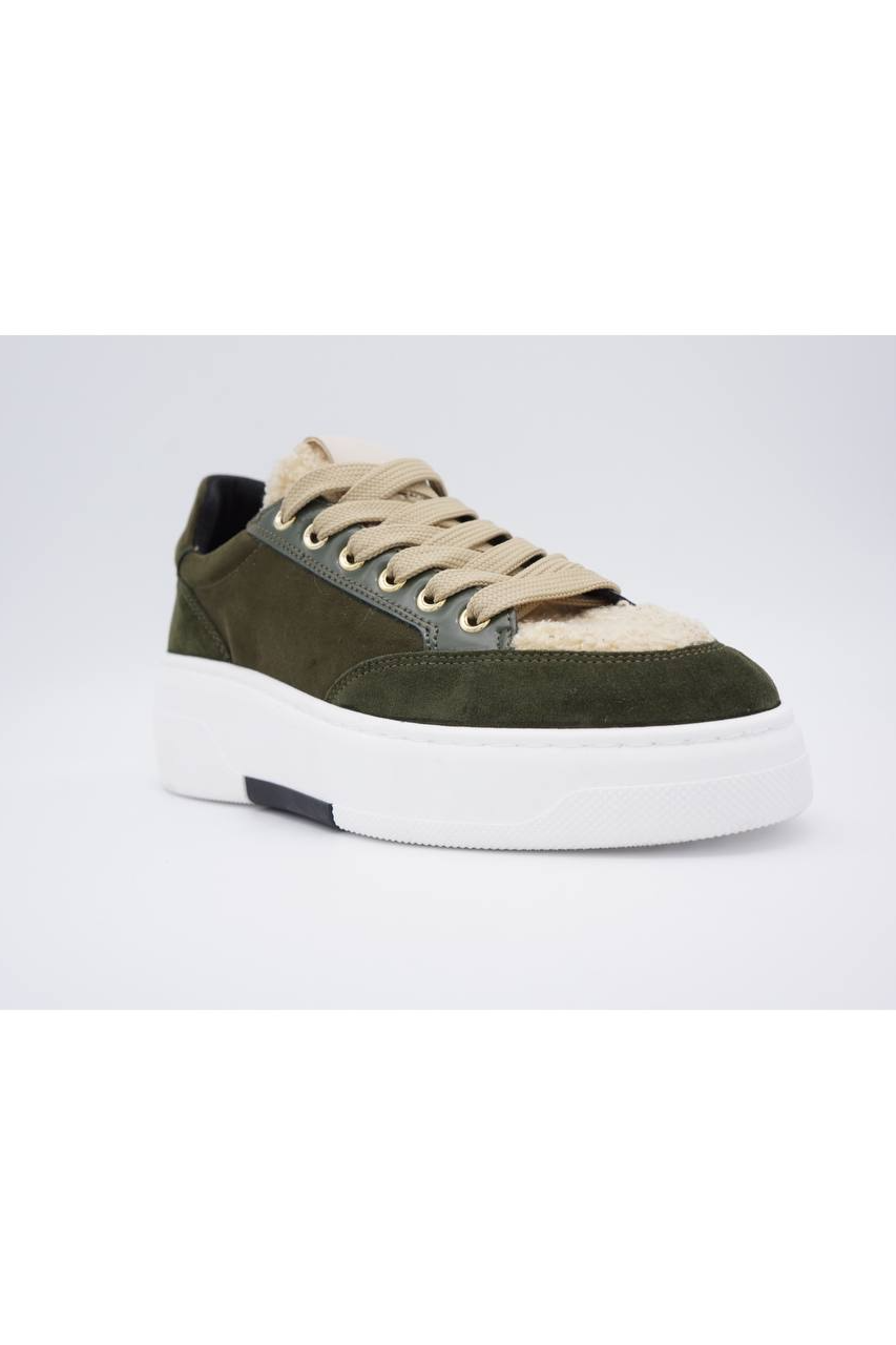 Olive