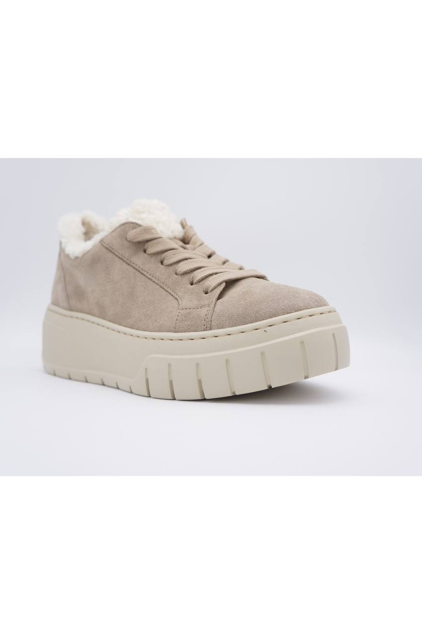 Beige Main