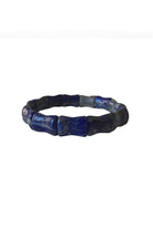LAPIS Main