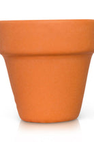 Brown Main