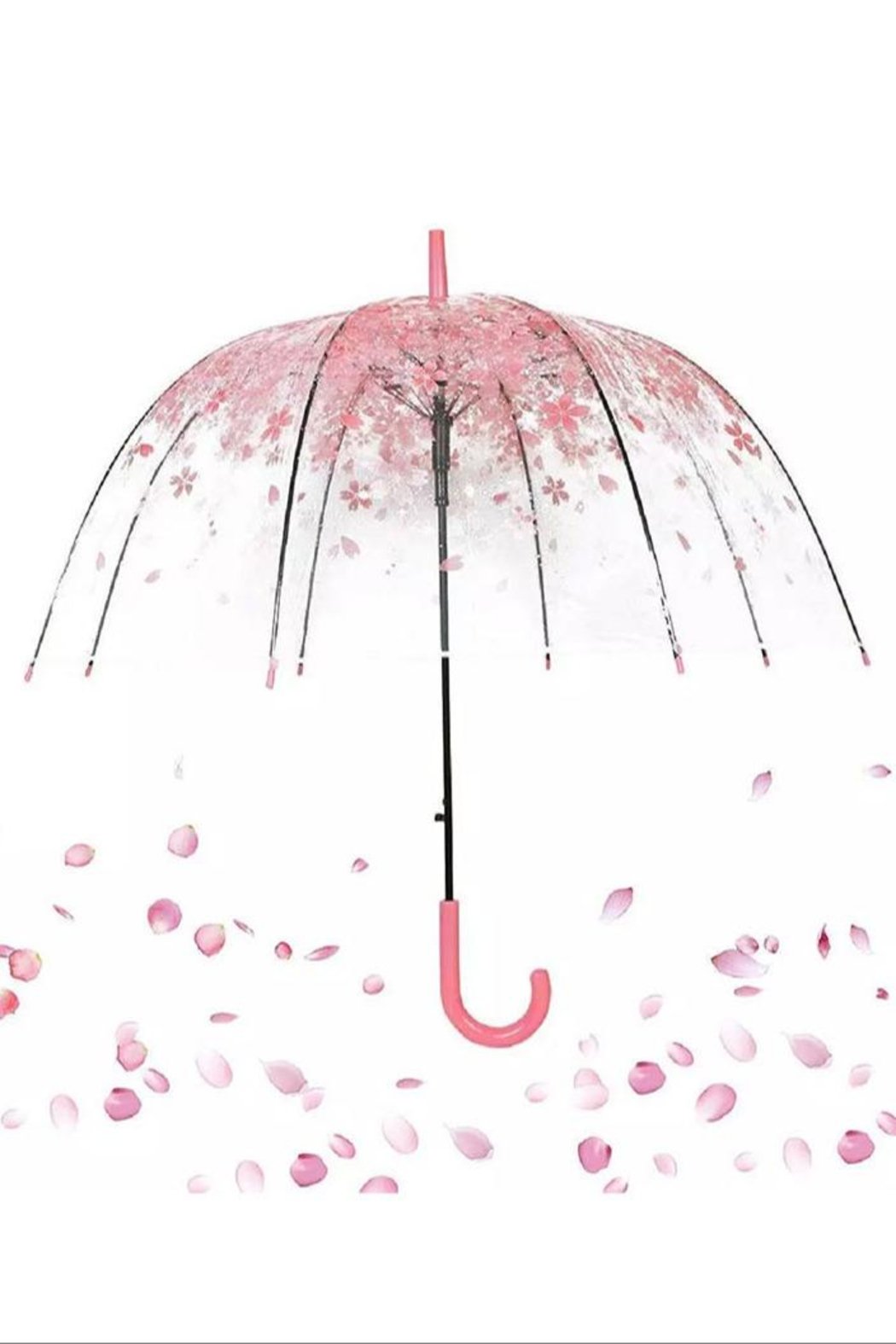 Pink Main