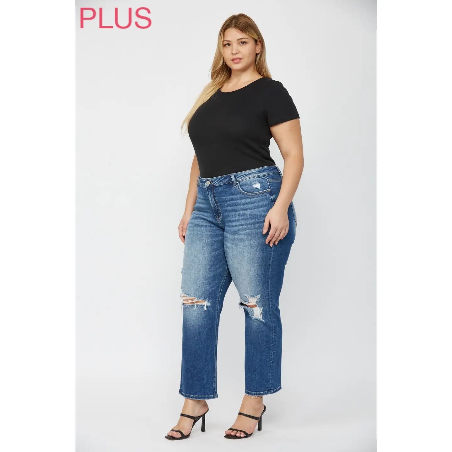 Mica Denim Mid Rise Straight Leg Distressed Jeans