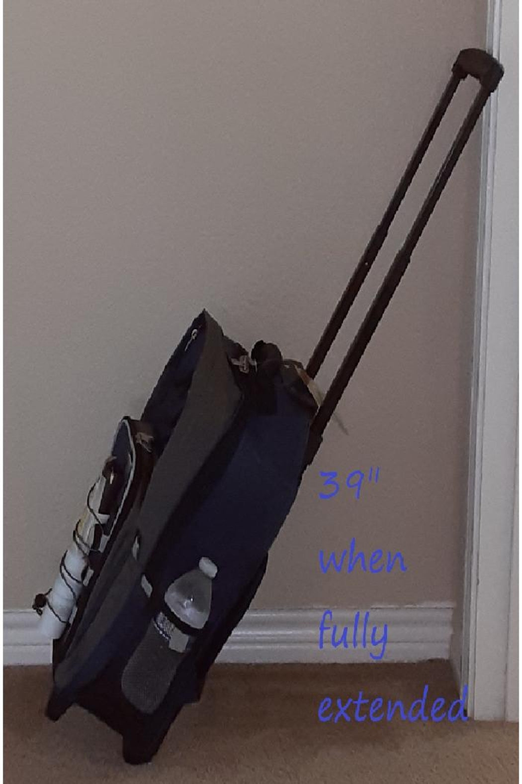 Blue Main