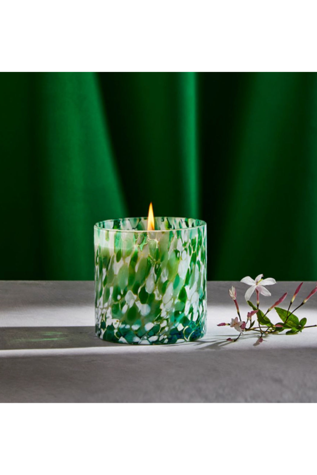 STAR JASMINE Main